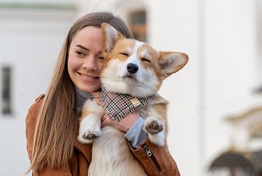 Все, что нужно знать о регистрации домашних животных 